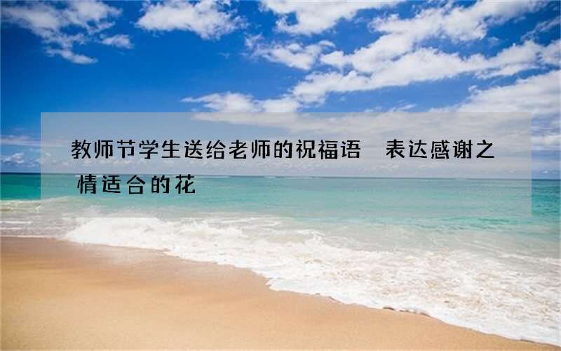 教师节学生送给老师的祝福语 表达感谢之情适合的花